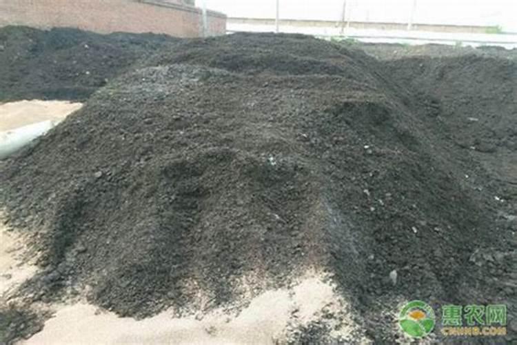 钾肥对植物的作用 钾肥促进哪部分生长