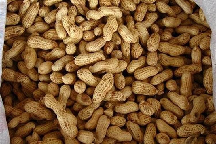 花生用什么叶面肥好 花生施肥注意事项