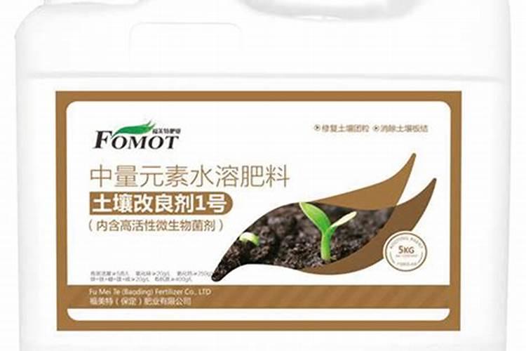 地栽月季开花后怎么修剪？