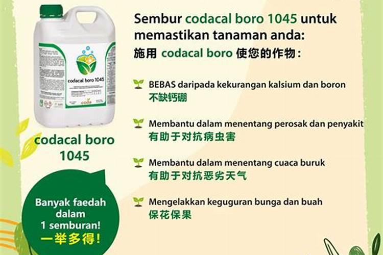 什么样的叶面肥补硼补钙效果好,能解决硼钙拮抗问题？