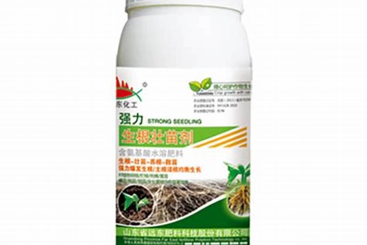 桂花施什么肥料最好