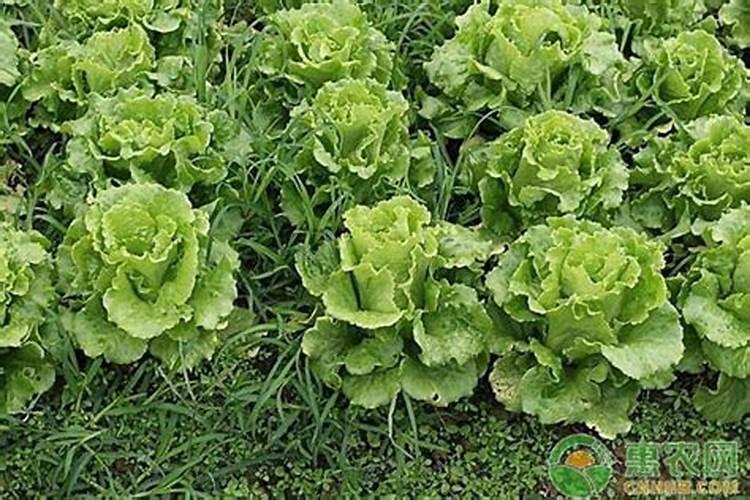 含有咪唑的废水中含有总氮吗怎么算含量？