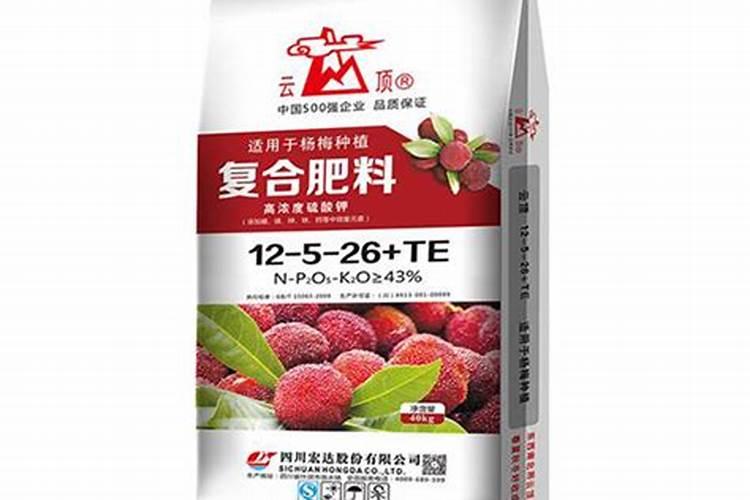 杨梅树用什么肥料最好