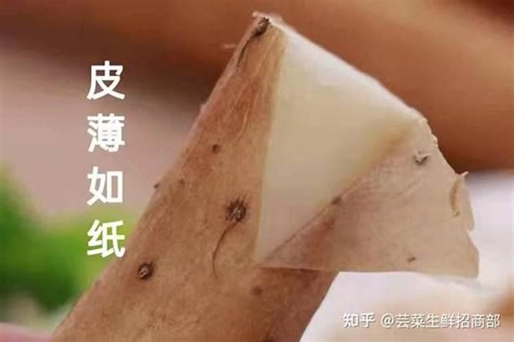 麻山药什么时候施肥最好