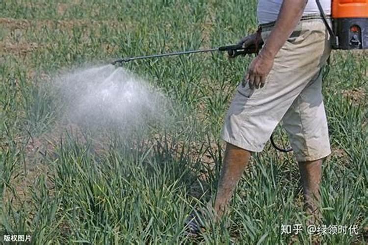 先正达冠无双叶面肥加苗后除草剂打可以吗