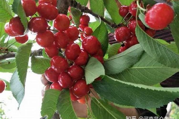 1千斤水配40斤水肥放多少升水