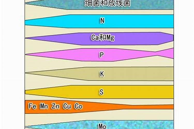 月季花施磷酸二氢钾肥料的正确用法