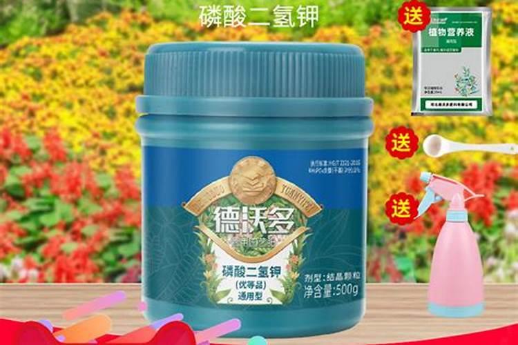 大白菜的肥料需求大,大白菜要增施钾肥吗？