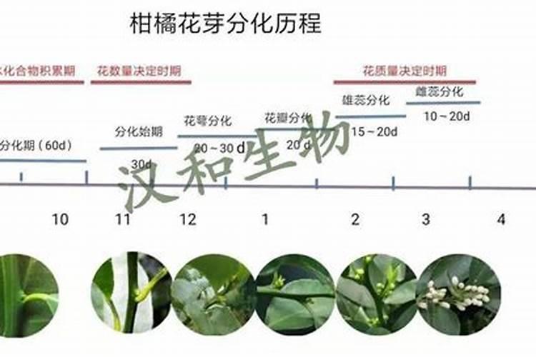 头条掘金项目是干什么的
