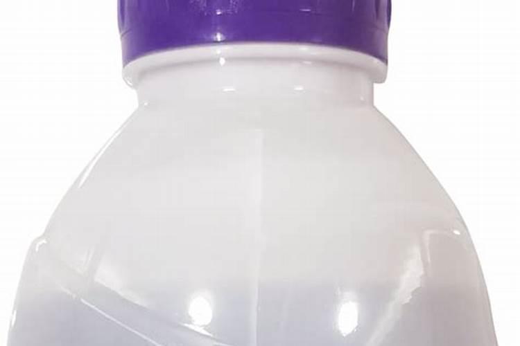 怎么种蓝莓树？