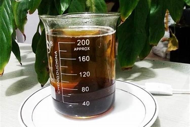 水培风信子的注意事项