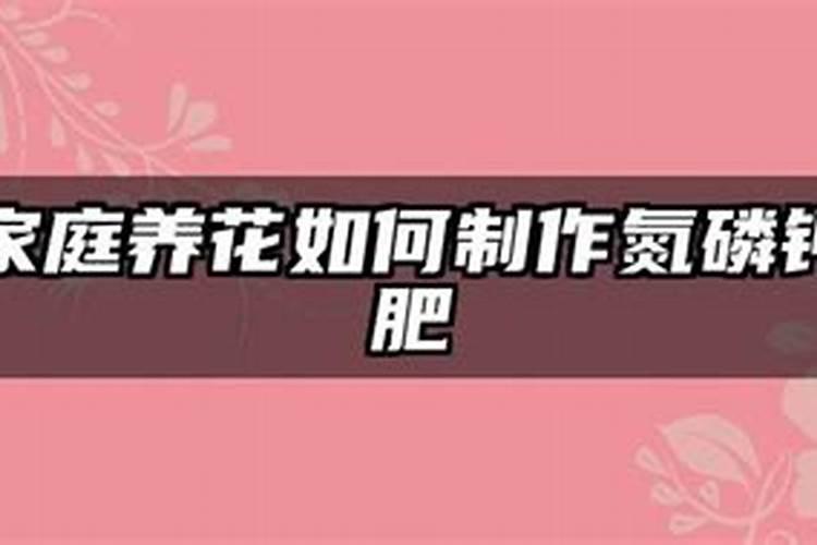 养花用什么肥料最好