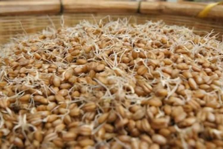 很多人提倡种地不用化肥农药,这种说法正确吗？