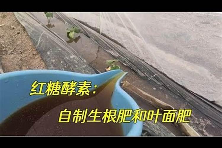 红糖做叶面肥的配方