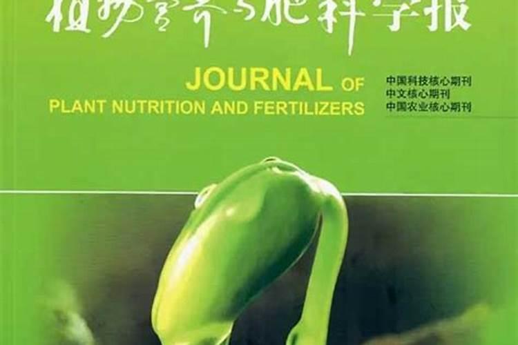 玉树用什么肥料好