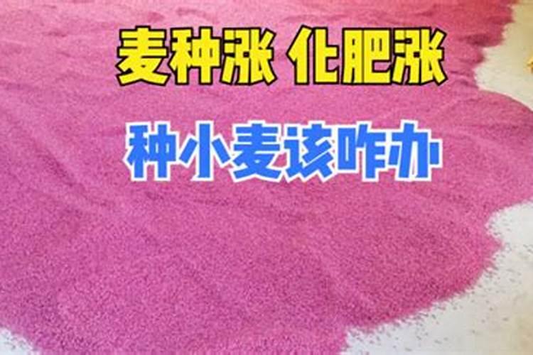 小麦几月份追肥合适小麦出苗不好怎么办