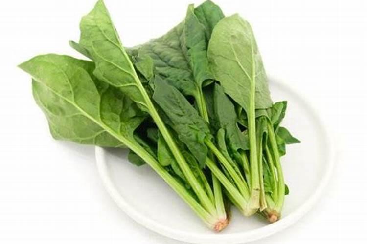 给草莓施肥要注意什么