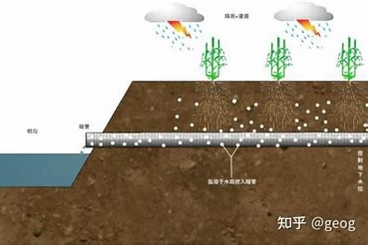 大豆不开花能控旺吗