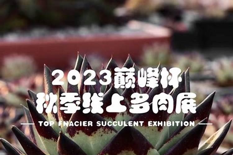 茄子施肥时间和施肥量