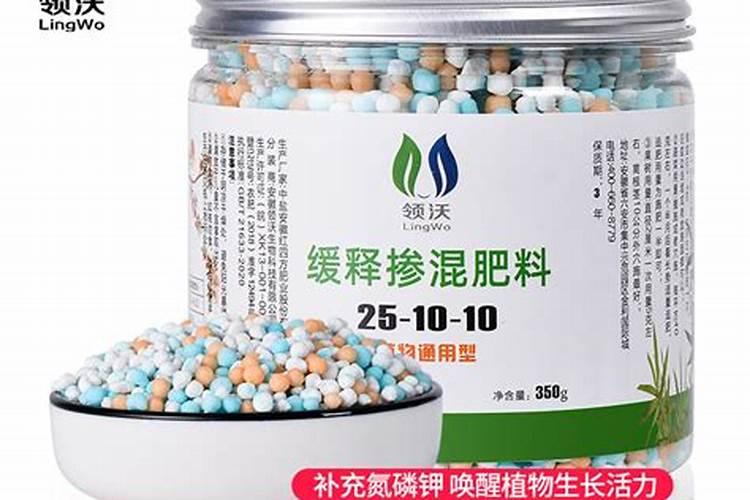 种豆角施什么底肥好