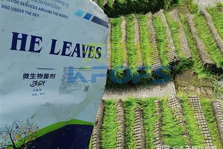 抗寒抗旱用什么肥