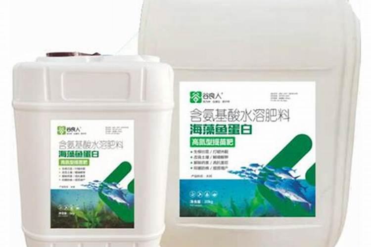 海藻肥料有什么特点？海藻肥料有什么功能？