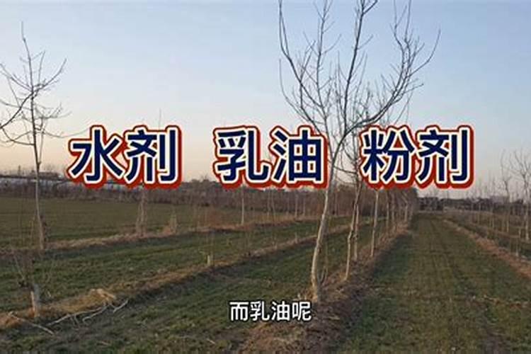 芸苔素的作用和使用方法 芸苔素如何分辨真假