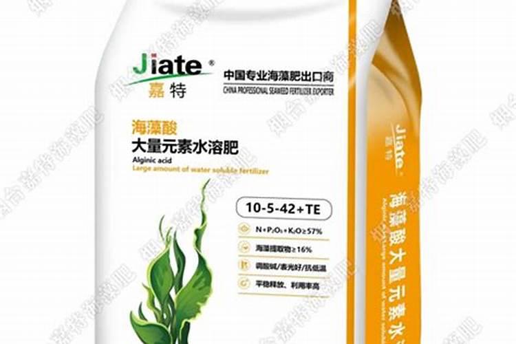 蜜桔的种植方法和时间