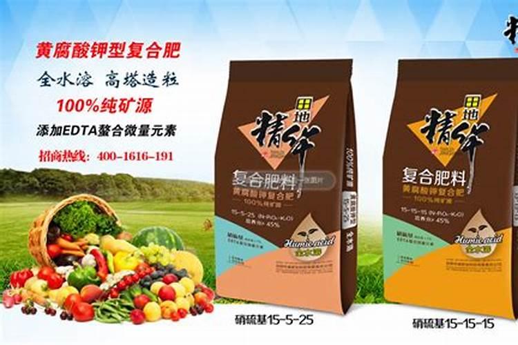 增产胺在黄瓜上的应用