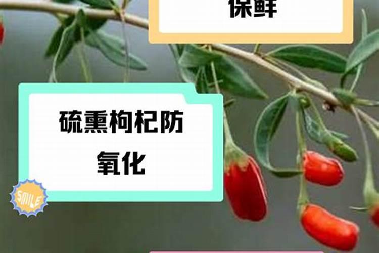 移栽树木用生根液好吗
