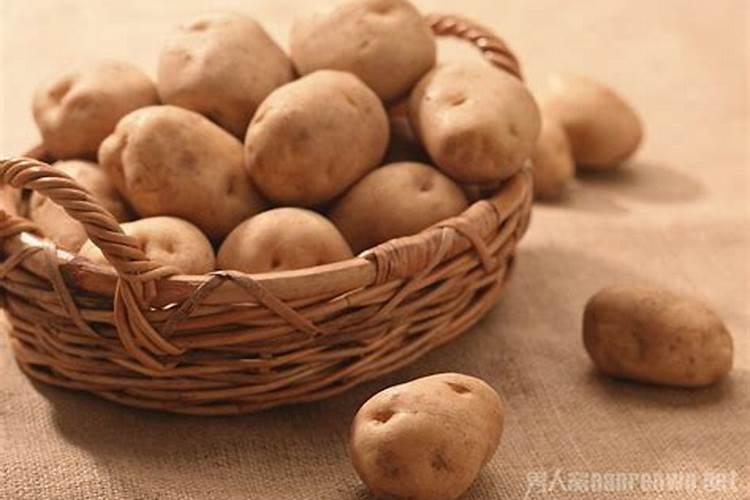 安东宁·诺沃提尼斯大林体制