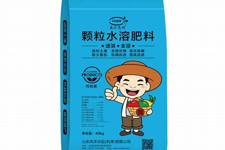 银杏每亩产多少果实？