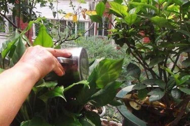 氮肥钾肥磷肥的作用
