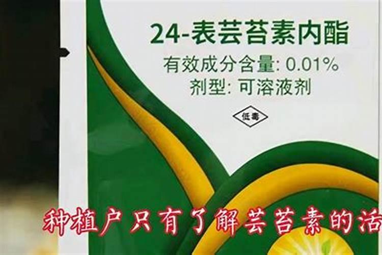 中国芸苔素十大品牌有哪些