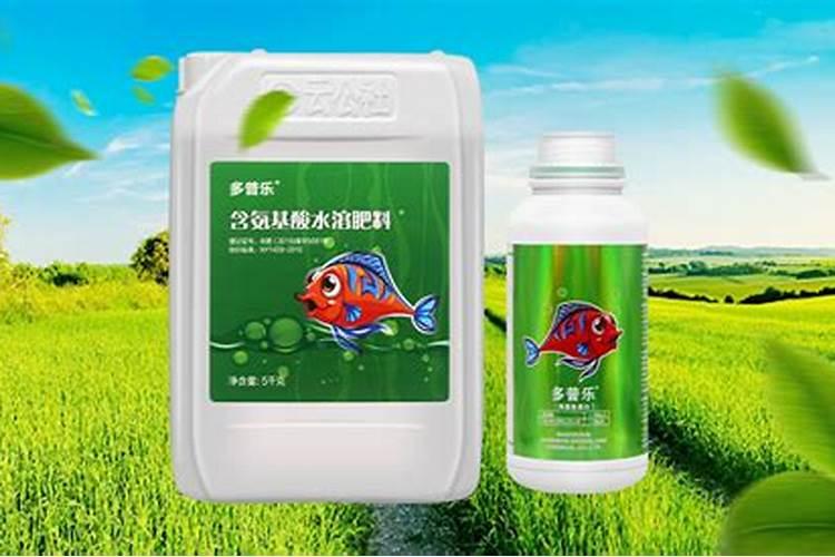 碳酶海藻鱼蛋白什么时候使用最好