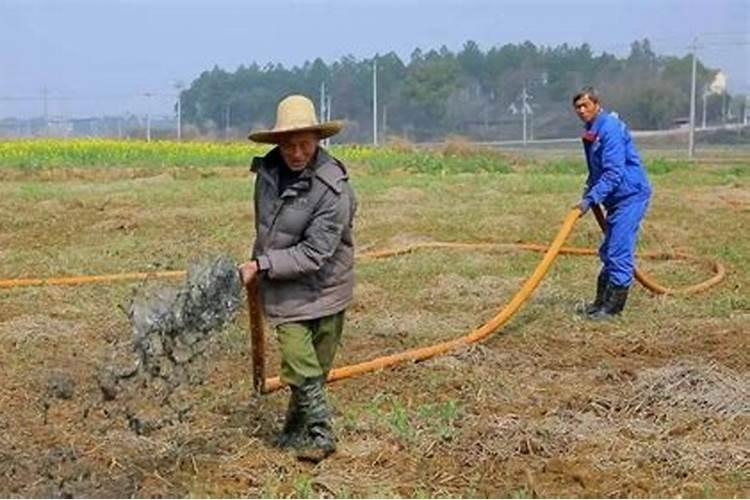 水瘦怎么快速肥水