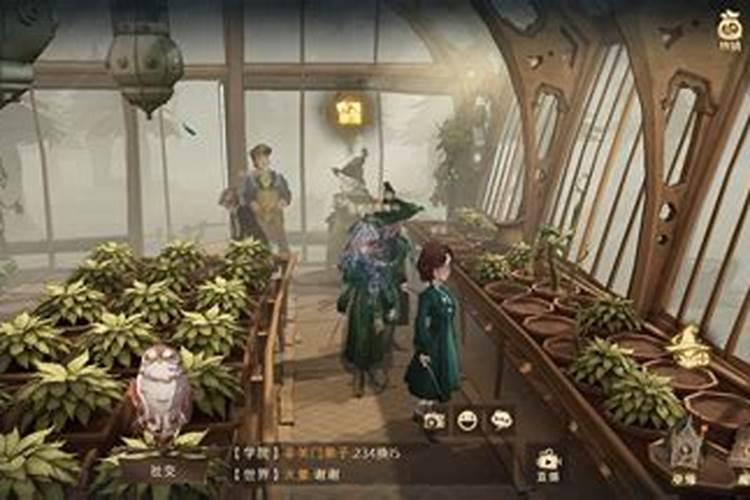 甜瓜如何施底肥