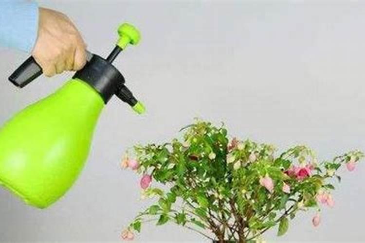 养花用什么代替肥料;盆栽肥料怎么用