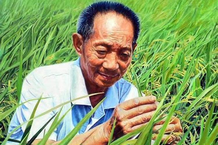 什么东西含钾可以做肥料;高钾肥料有哪些