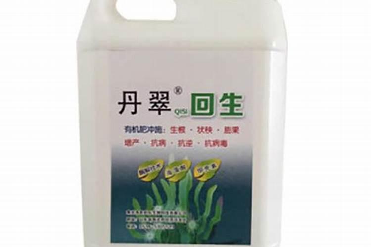 复合肥100斤价格表