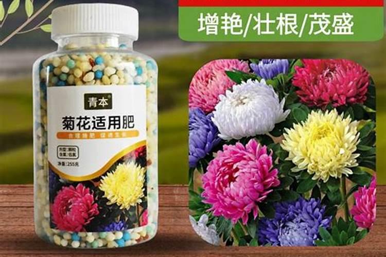 兰花专用肥怎么选