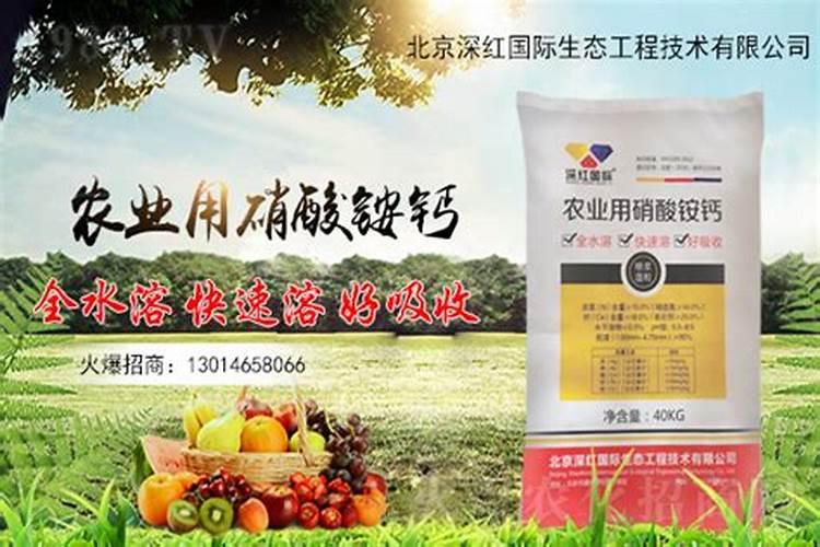 玉米该如何正确的追肥？都有哪些注意事项？