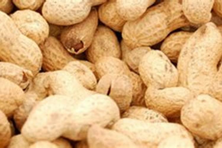 花生开花期能打叶面肥吗？