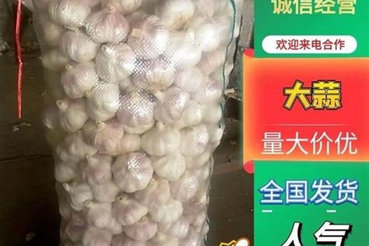 向日葵叶子干枯原因及补救方法