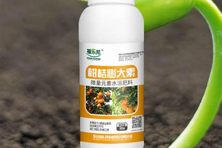 柑橘专用叶面肥 果树叶面肥哪家好 柑橘用什么叶面肥效果好