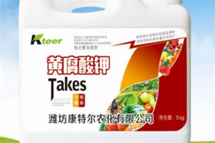 红美人柑橘幼树开沟施了有机肥后第二天追施矿源黄腐酸钾可以吗？