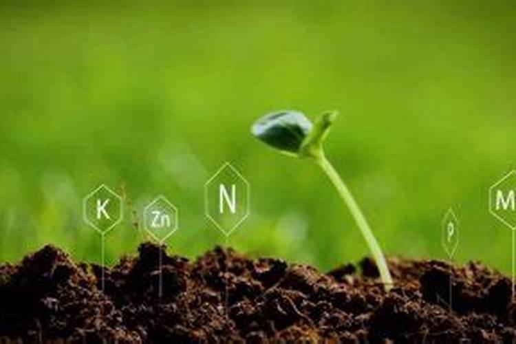 铁,镁,钙的每亩用多少可以促进植物生长(最大用量) 谢谢了