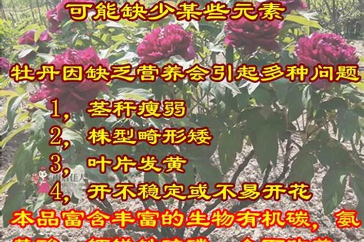 请问有机肥中氮、磷、钾含量的标准比例是多少,有机质与总养分是...