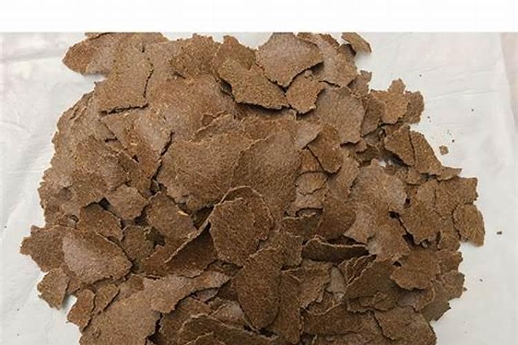 家里可以种秋天红薯吗 家里可不可以种秋天红薯