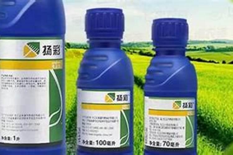 扬彩杀菌剂的功效,附使用注意事项